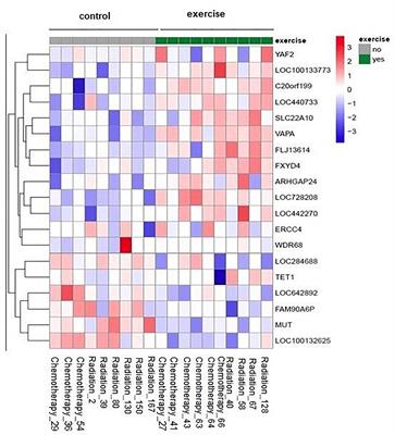 No Evidence for Effect of Exercise on Transcriptome of NK Cells in Breast Cancer Patients Undergoing Adjuvant Therapy: Results From a Pilot Study